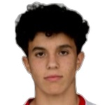 Jakob Vinzenz Pokorny